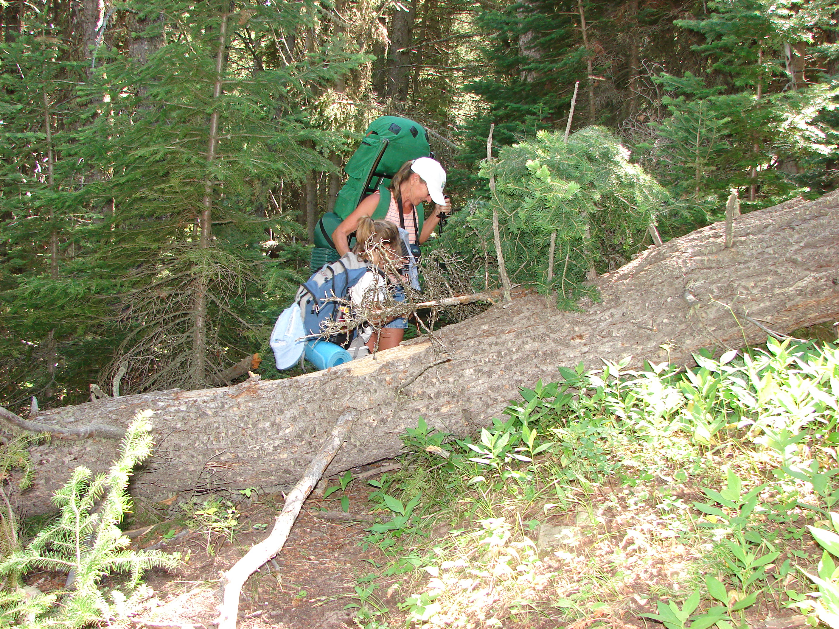 We think we may have been the first ones on the trail this year.