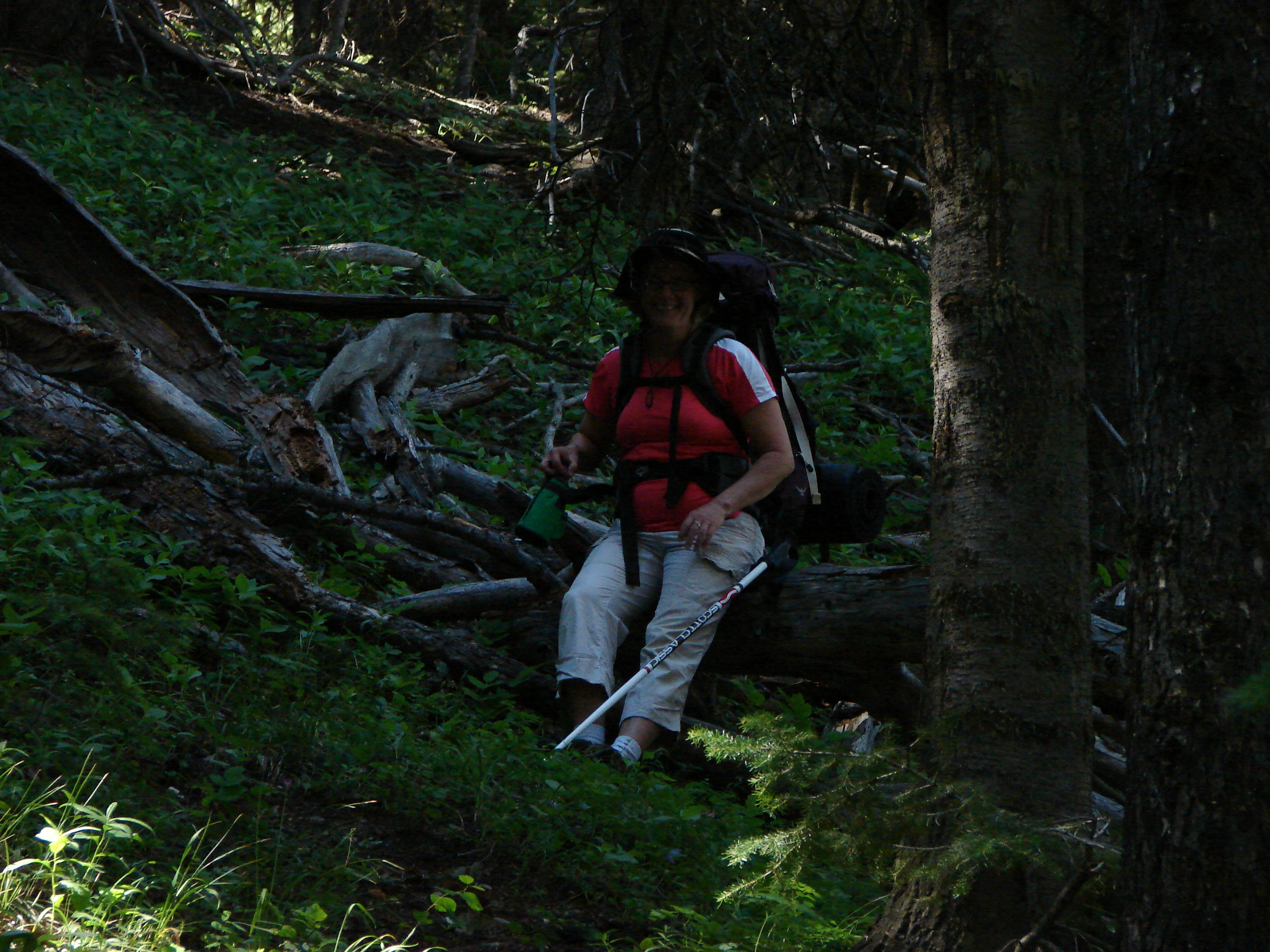 Peggy found a great log to sit on.