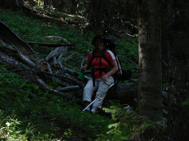 Peggy found a great log to sit on.