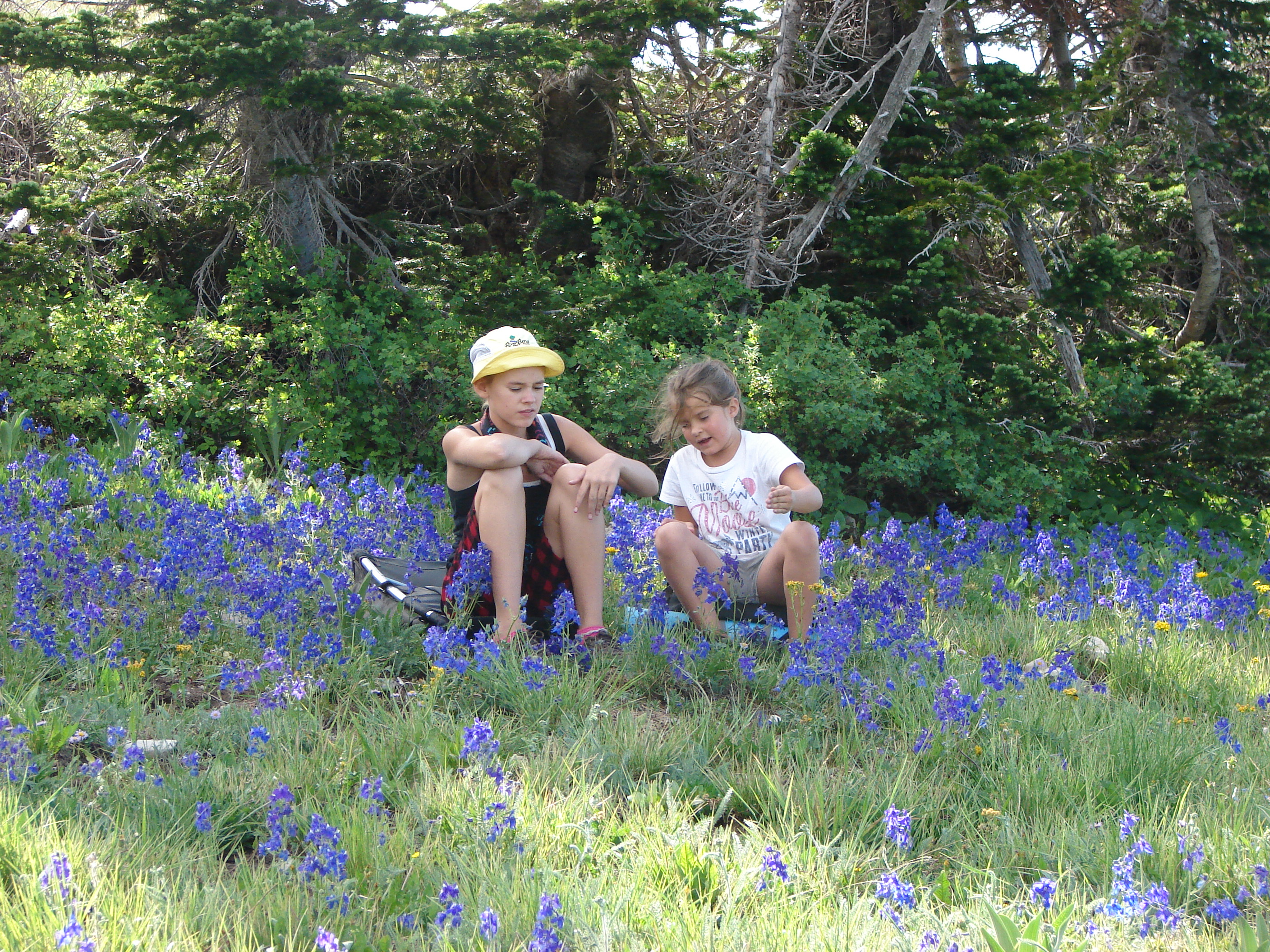 Here we are in the flowers again.