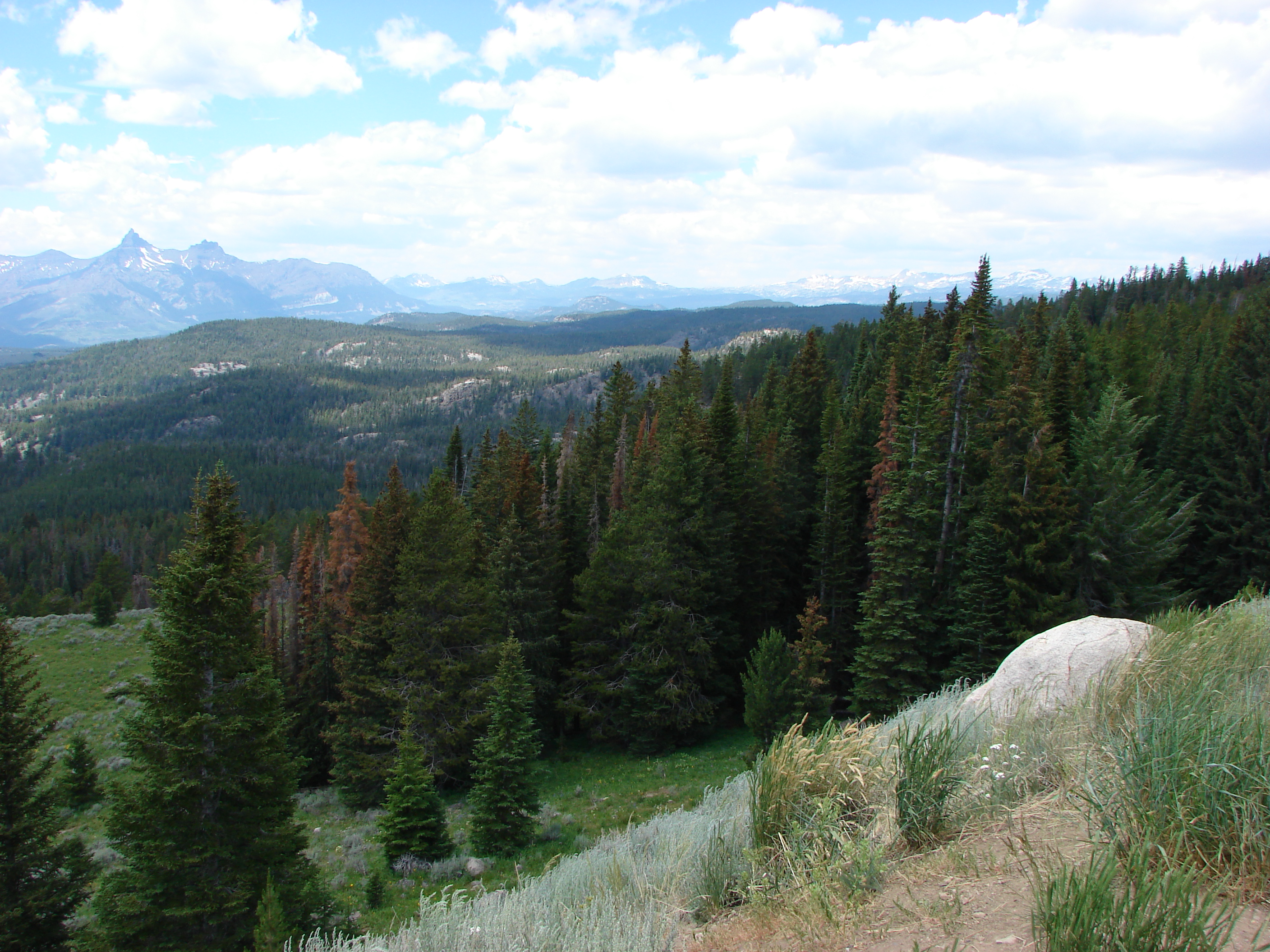 At the left top of this photo are Pilot and Index Peaks.