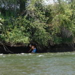 All of them walked upstream of the rope swing.