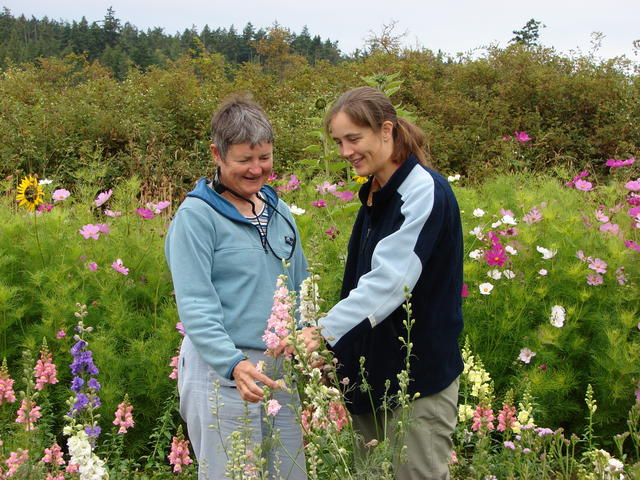 We picked flowers for the decorations.