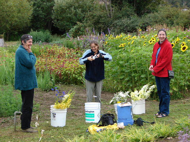 Carrie was in charge of flowers.