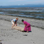 LW and I spotted some driftwood to take back to Billings, but it was too heavy.