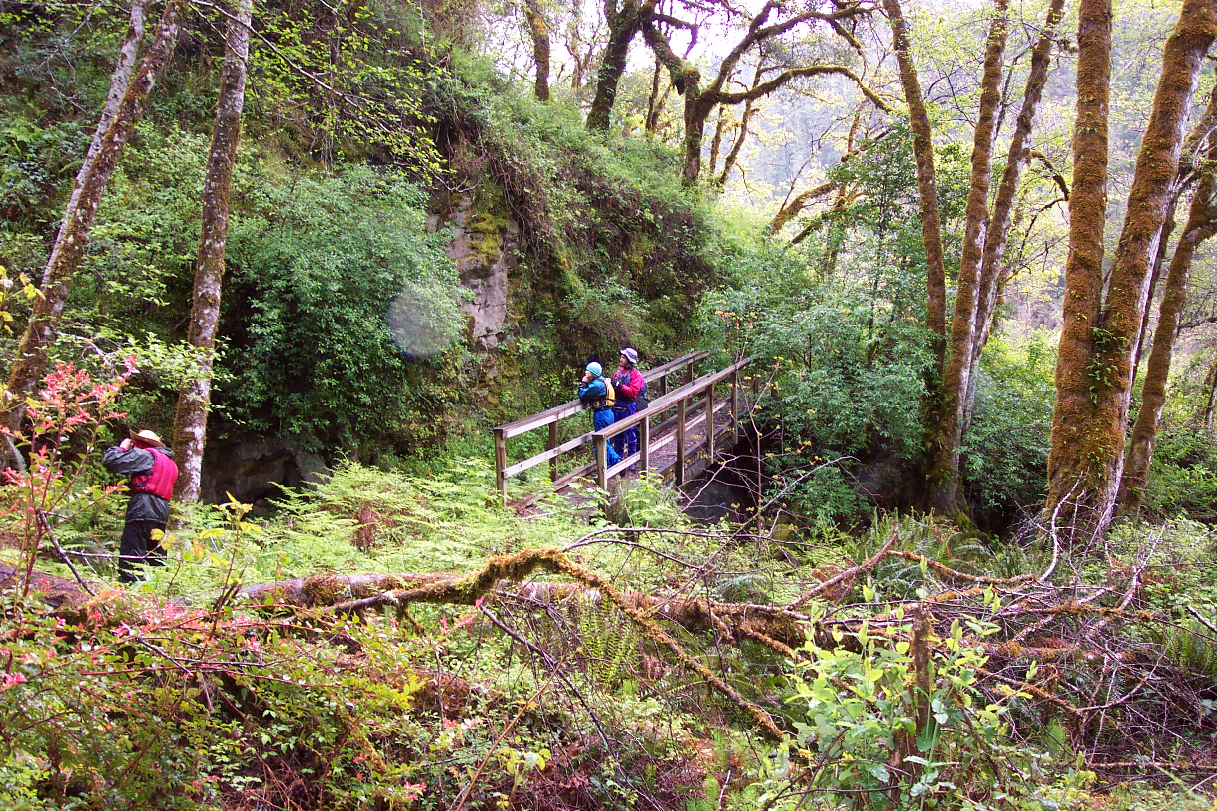 We did a short hike to see a waterfall.