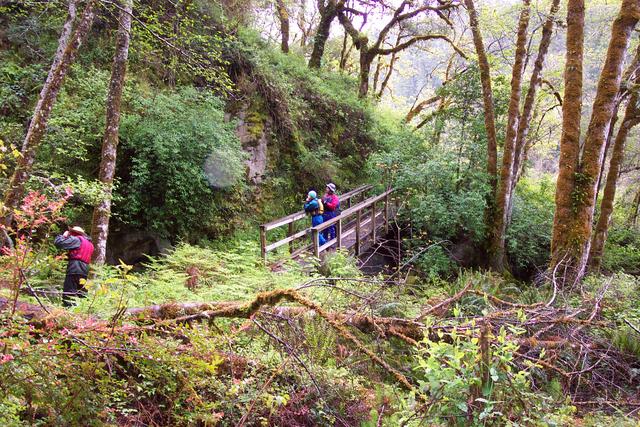 We did a short hike to see a waterfall.