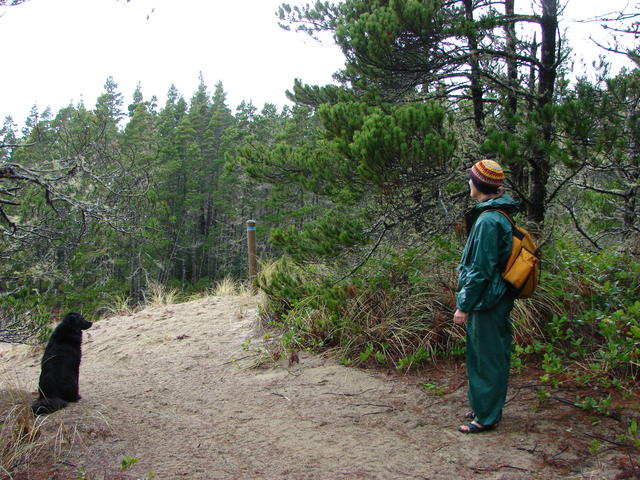 Now we're leaving the forest and entering the transition area.