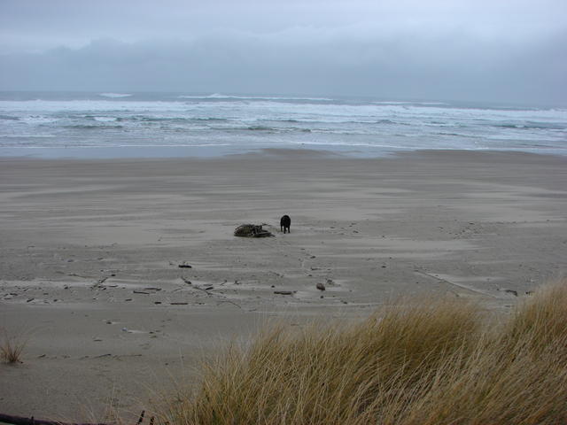 Of course, Ellie loves the beach, too.