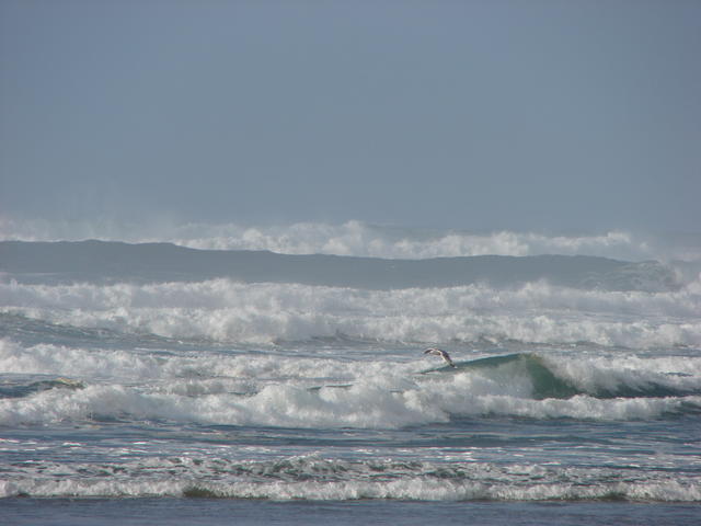 Lindsay took these great pictures of the ocean.