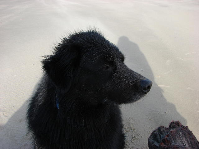 Cute little Ellie got sand on her face.