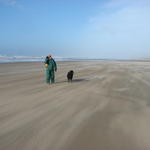 We walked a long time in the sun on the windy beach.