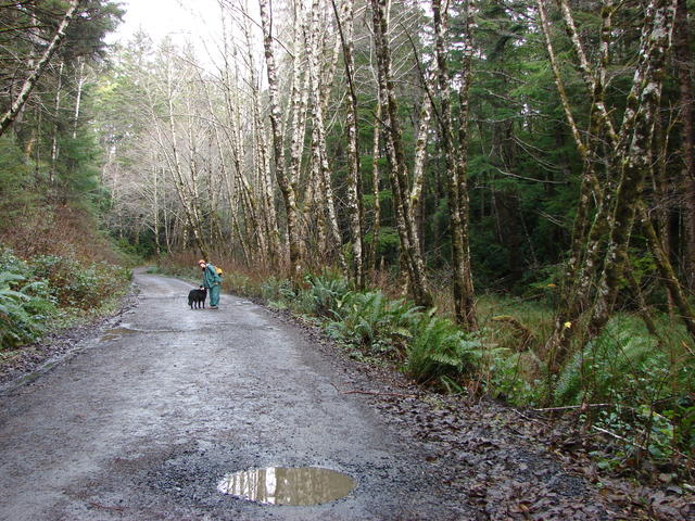 We walked back on the road and that was pretty, too.