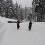 Tom and Amy put Jackson and Lyla on leash.