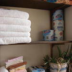 Just the bathroom shelf with a few towel and a plant