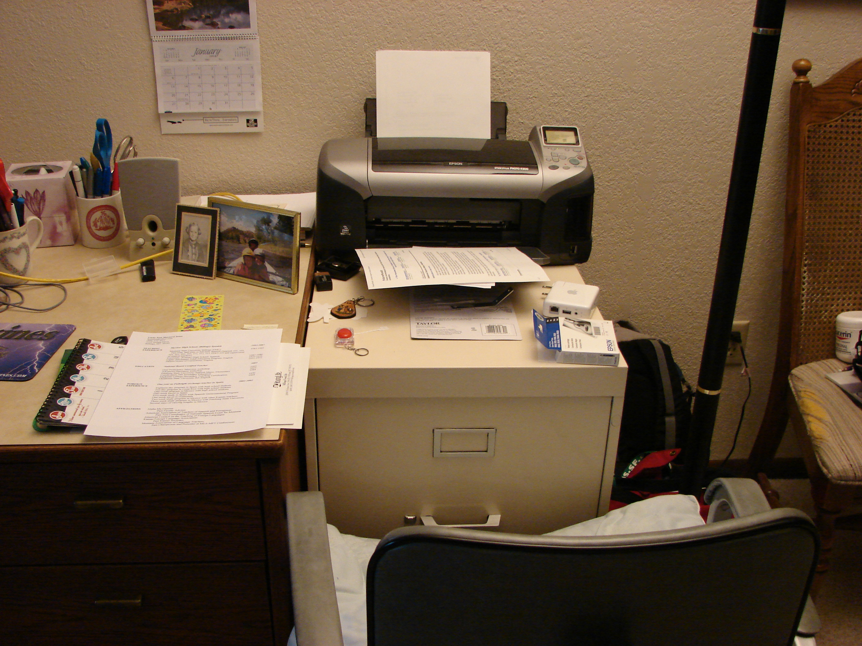 My file cabinet and printer.  The cabinet is actually LW's.