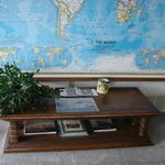 Table bought in Michigan, vase from Sue and Alan, Foster book from LW, Kahlo book from Kim, pot from Janet and Julie in Roscoe.