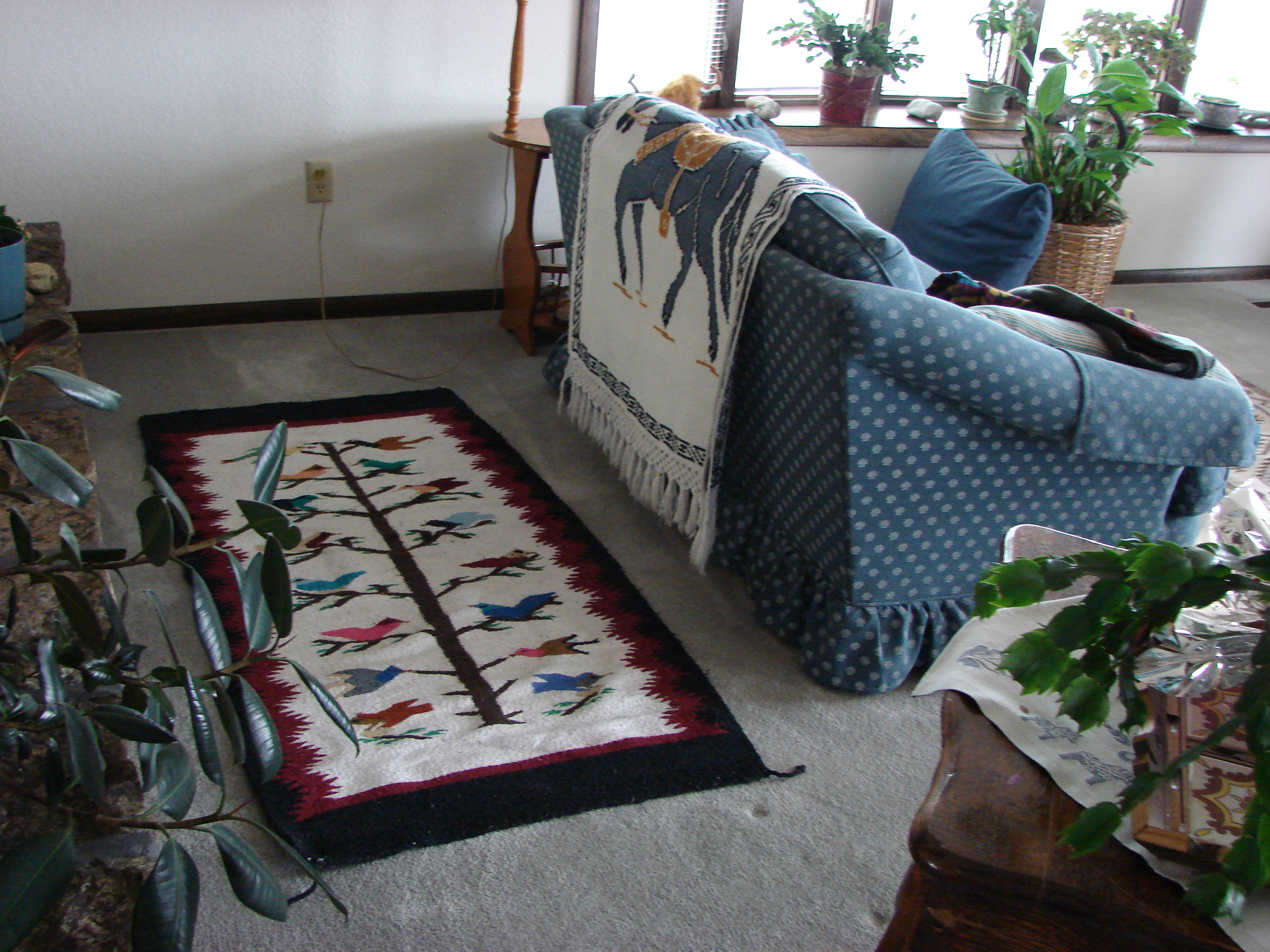 Floor rug from Mexico, throw from Mexico, gift from Danny Bronson.