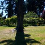 Their guests will sit here, facing the gazebo.  Lindsay and Ben will walk through the archway in the background.