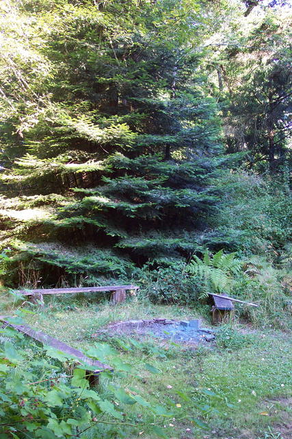 They have a firepit and benches.