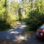 This is looking up the driveway.