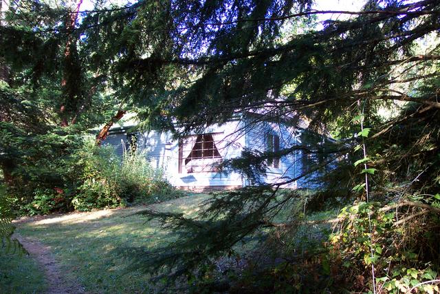 Walking around the back of the house, you can see the window of my bedroom.