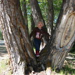 June has discovered the joys of tree climbing.