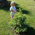 Grandma likes to take a picture of June with this tree every year.