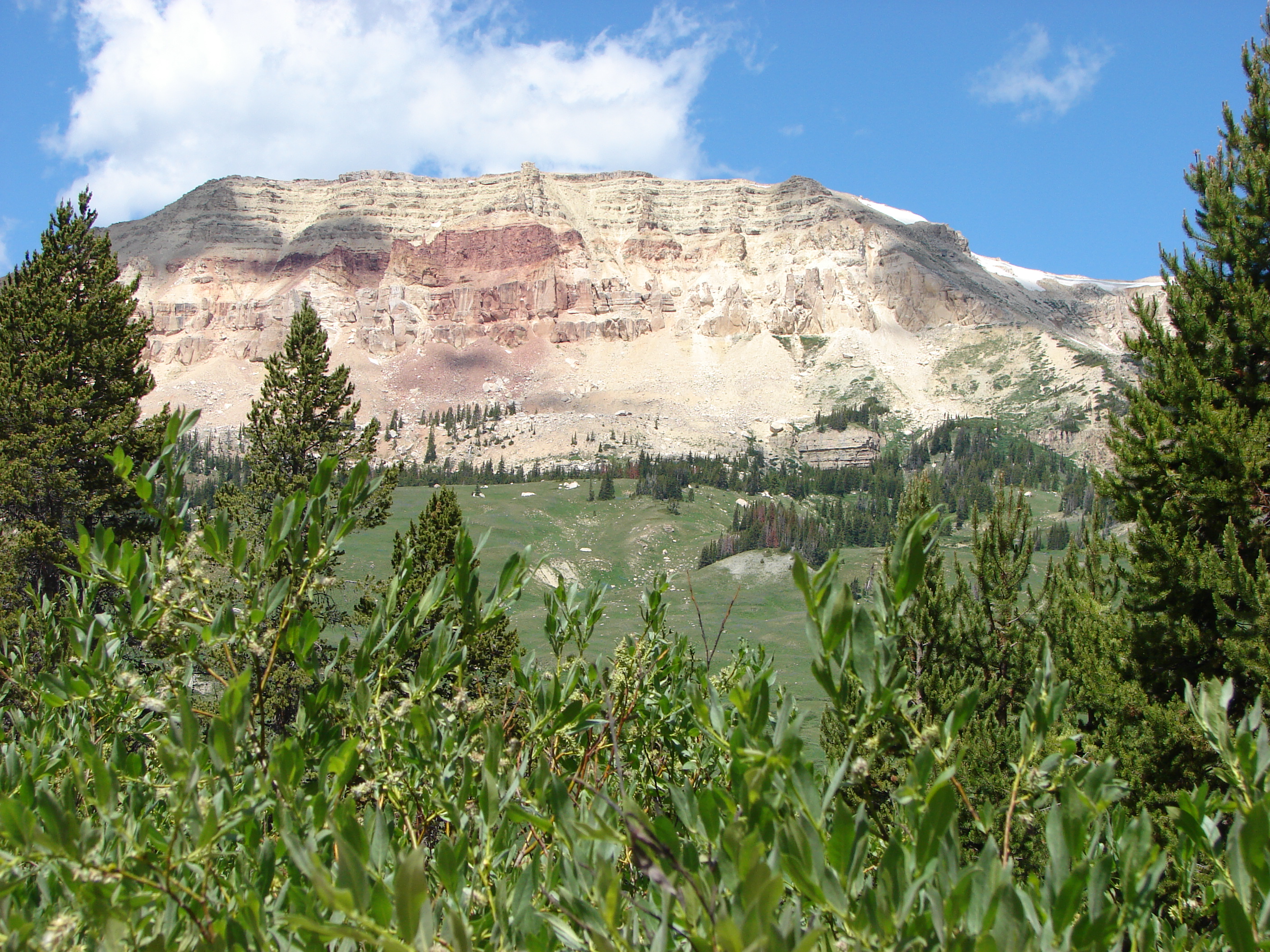 Beartooth Butte