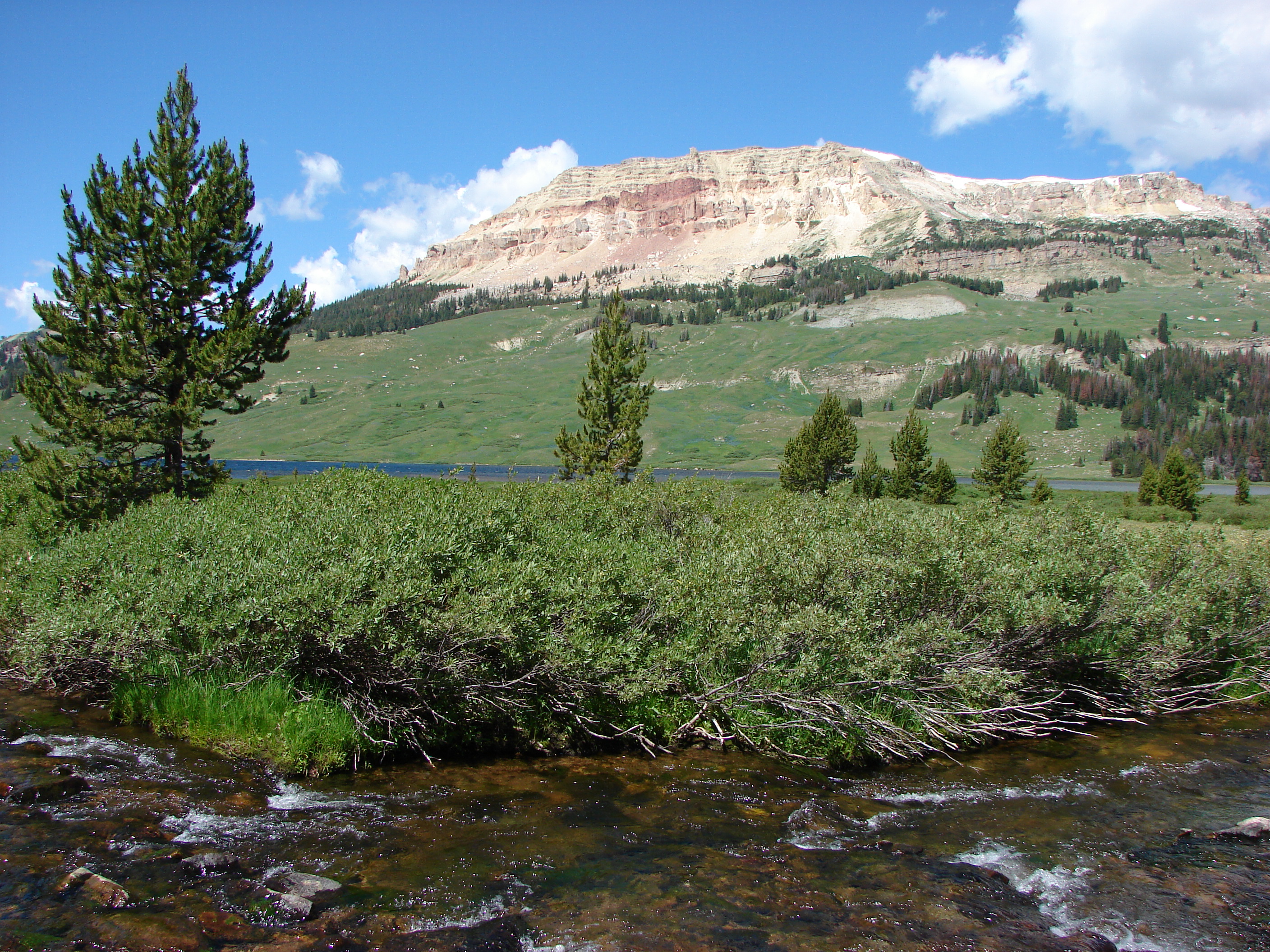 Beartooth Butte