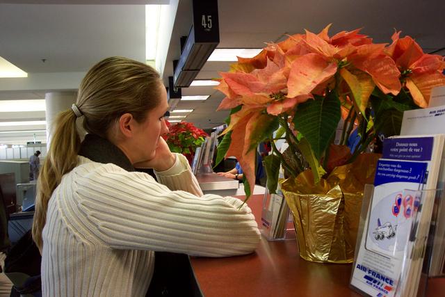 We spent a lot of time at airline ticket counters.