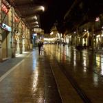 That evening we walked around Montpelier in a light rain and looked at the Christmas lights.