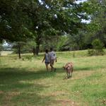 Donna, Ron and Killer Fred like to walk along the walking path every evening.  If you walk around 5 times, that's 2 miles.