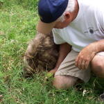 Ron and Fred make a great gopher-catching team.