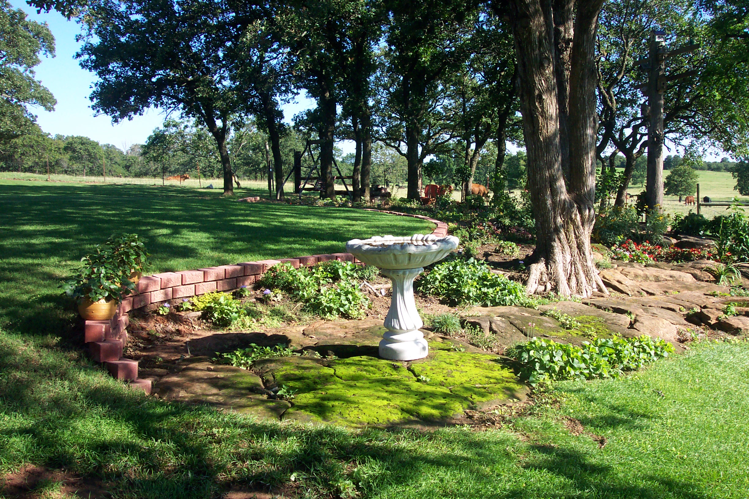 And a view from the bird bath.