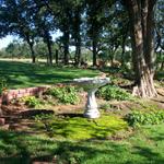 And a view from the bird bath.