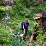 And, we're off through the jungle.  It was an extremely difficult hike.