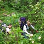 We hiked off-trail through bushes, trees and brambles.  We had to hike up steep trails and make river crossings.