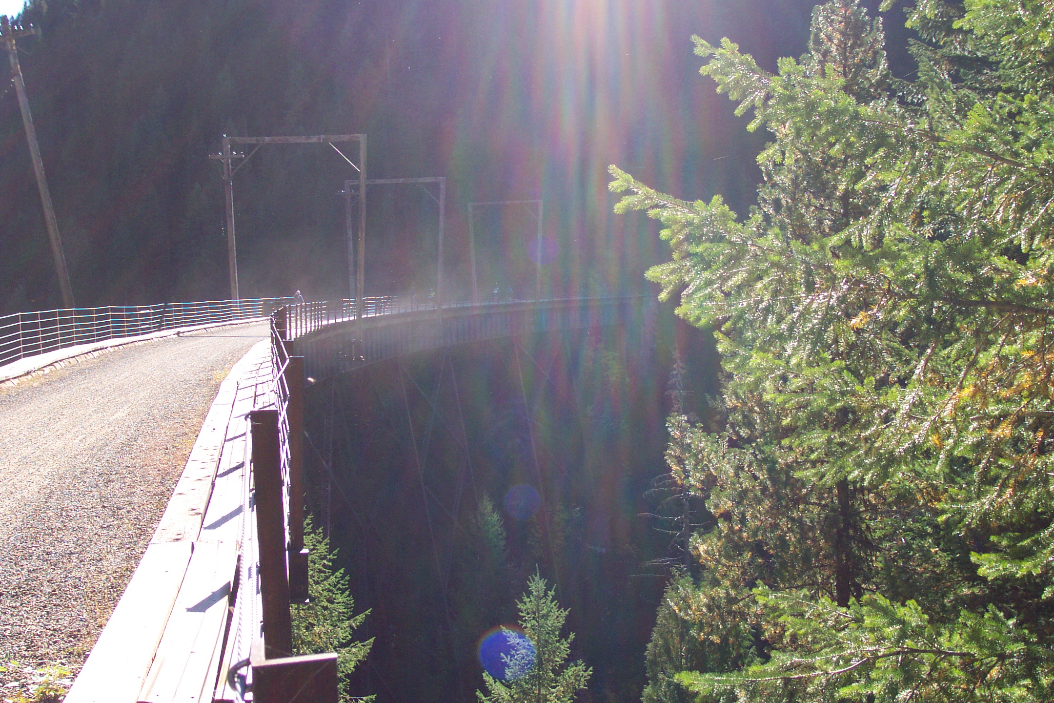 The trestles were beautiful in the afternoon sun.