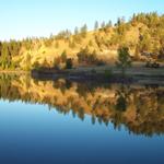 The pond was beautiful in the early morning sunlight.