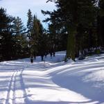 We finally decide to ski off toward Tower Falls.