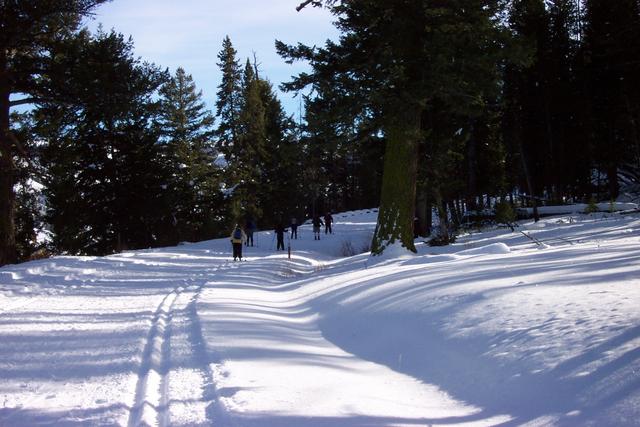 We finally decide to ski off toward Tower Falls.