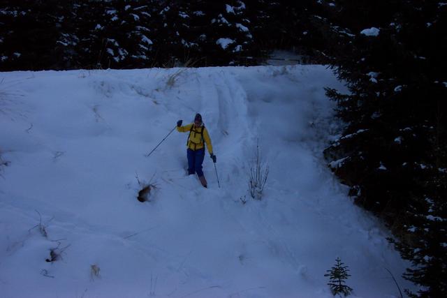 Linda W likes to take the trail less trodden.