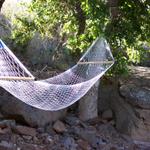 Judy's hammock wasn't often empty.