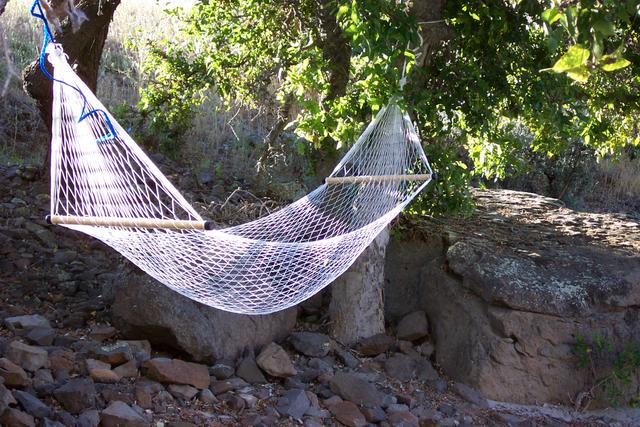 Judy's hammock wasn't often empty.