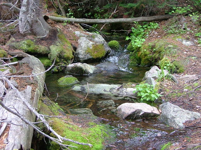 ASeattle_hiking_etc 095.jpg